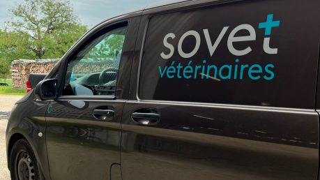 Bus sovet vétérinaires