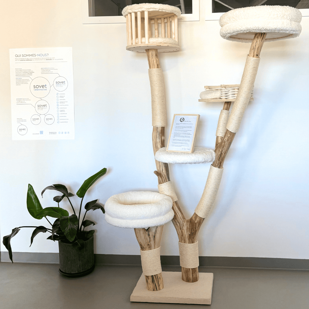 arbre à chats sovet vétérinaires, centre vétérinaire chiens et chats